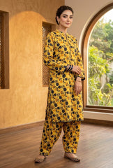 2-Pieces Ladies Suit KSK 17